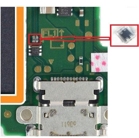 Switch and Switch Lite Filter